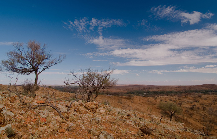 Landscape